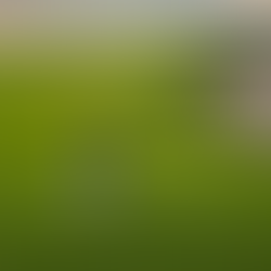 Составьте свой список программ во время отдыха на роскошном The Oberoi Beach Resort Al Zorah  