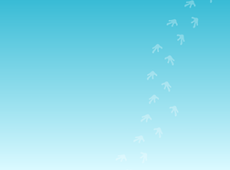 Pathways-Aqua.png