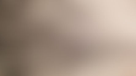 Les 8 mots à connaître avant de commencer sa recherche de location