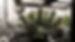Thumbnail: Grape Ape