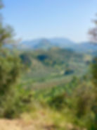 ronda countryside fincas olive oil beautiful vista views
