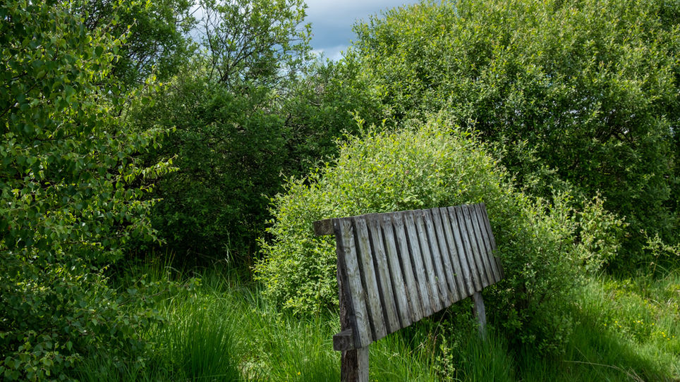 DSCF7633.jpg