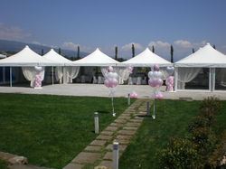 Giornata in Rosa
