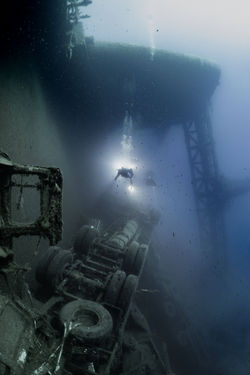 2nd Place | Anna Teresa Stibi