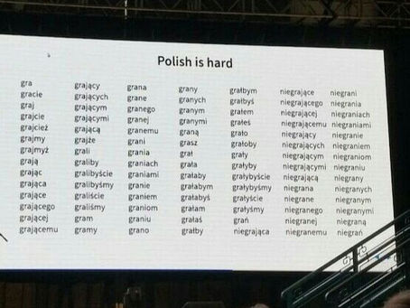 Rada Nauczycielki dla Uczenia Się Polskiego | A Teacher's Advice for Learning Polish