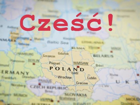 Jak Można Nauczyć Się Języka Polskiego? | How Does One Learn the Polish Language?