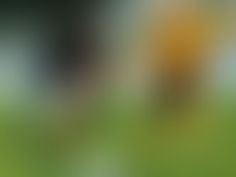 Lausanne freiné en Finlande, Bâle puni par l’efficacité d’Aston Villa