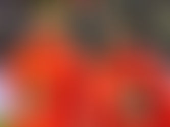 La Nati connaît son dernier test avant le Mondial