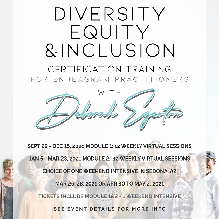 DE&I Certification Training