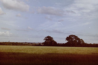 PICT0460.JPG