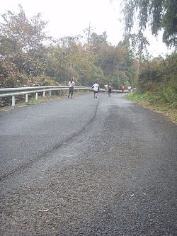 登りが始まります