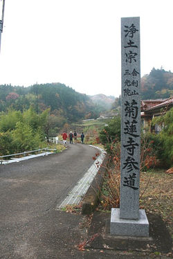 菊蓮寺参道