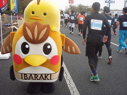 ゆるキャラ応援