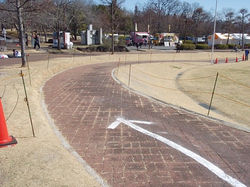 右カーブしてグラウンド入り