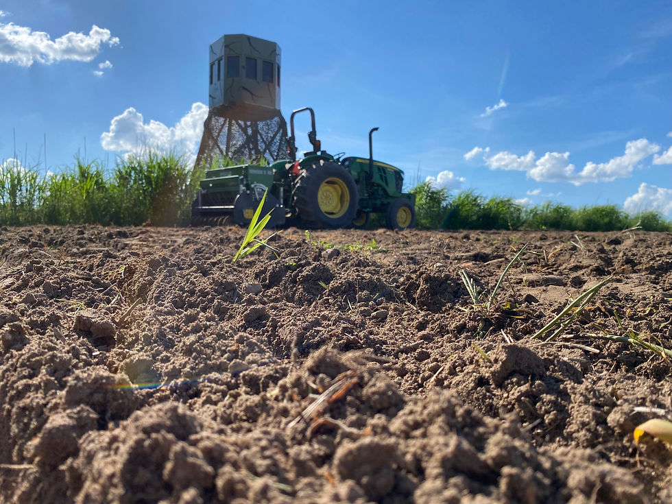 6x6 Bow Pckge Food Plot.jpeg