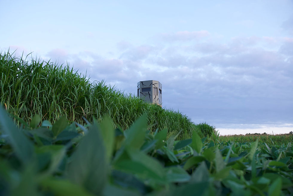 6x6 BE Gun Pckge Miscanthus and Soybeans (2).jpeg