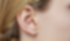 AdobeStock_221711438.jpeg