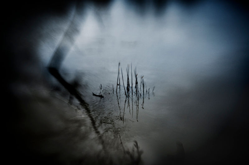 _DSC7042+copie.jpg