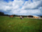 Paddocks