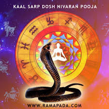 Kaalsarp Dosh Nivaran Abhay Sadhana