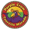 el_cuervito_morado_logo.webp