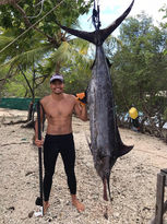 slip tip spearfishing, spear shafts for sale, speargun slip tip, spearfishing shaft, spearfishing shafts, spears store, best speargun, band spearguns, harpoon gun for sale, harpoon guns for sale, harpoon gun sale, scuba spears, slip tip, slip tip pole spear, slip tip for pole spear, best spearguns, speargun shafts, speargun shaft, ice pick spearfishing, slip tip spear head, stainless steel speargun shaft, blue water spearguns for sale, blue water hunting equipment, slip tip speargun, best bluewater spearguns, quality speargun, quality spearguns, shafts for shaftfishing, shafts for spearguns, slip tip shaft, spear fishing shaft, spear fishing supplier, spear fishing, spearguns, spear fishing gun, spearfishing gun, fishing spear gun, wood speargun, wood spearguns, wooden speargun, speargun wooden, speargun wood, spearguns wooden, custom made spearguns, custom speargun, custom spearguns, handmade speargun, spear fishing equipment, spearfishing store, spearfishing stores, gun fishing,