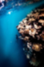 wetsuits made with yamamoto neoprene, blue water wetsuit, blue water wetsuits, quality wetsuits,