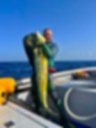 knife for spearfishing, spearfishing knife, best spearfishing knife, spearfishing dive knife,