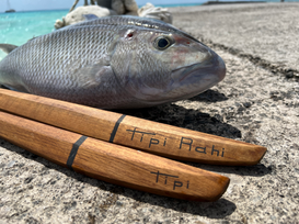 carbon steel fillet knife, high carbon steel fillet knife, wooden handle fillet knife, sharp fillet knives, high quality fillet knives, small filleting knife, high end fillet knives, damascus steel fillet knife, fillet knives for fish, quality fillet knife, saltwater fillet knives, fish filleting knives, knife to fillet fish, fish fillet knife near me, fish gutting knives, knives for filleting fish, fillet knife blades for sale, fishing fillet knives, sharp filleting knives, knife for spearfishing, spearfishing knife, best spearfishing knife, spearfishing dive knife, dive knife, diving knife, dive knives, dive knife for sale, best scuba diving knife, scuba diving knife, best fishing knives, underwater knife, snorkeling knife, stainless steel dive knife, stainless steel diving knife, deep sea dive knife, mini dive knife, buy diving knife, high carbon steel diving knife, quality diving knife, fillet knives, filleting knife, filleting knives, best fillet knife for saltwater fish,