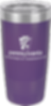 Thumbnail: Polar Camel 20 oz. Ringneck Tumbler