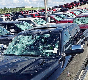 hail damaged fleet.jpg