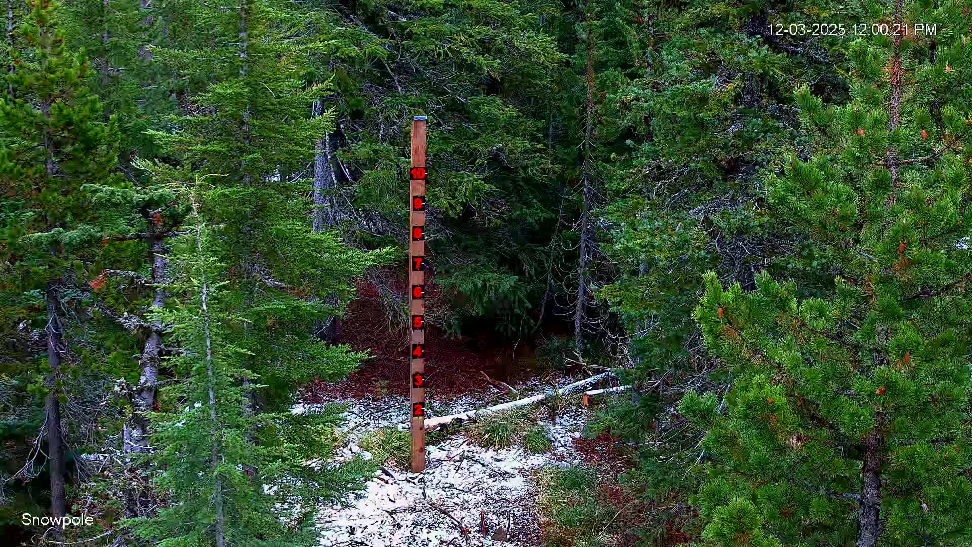 December 3, 2025 at 8:00:27 PM