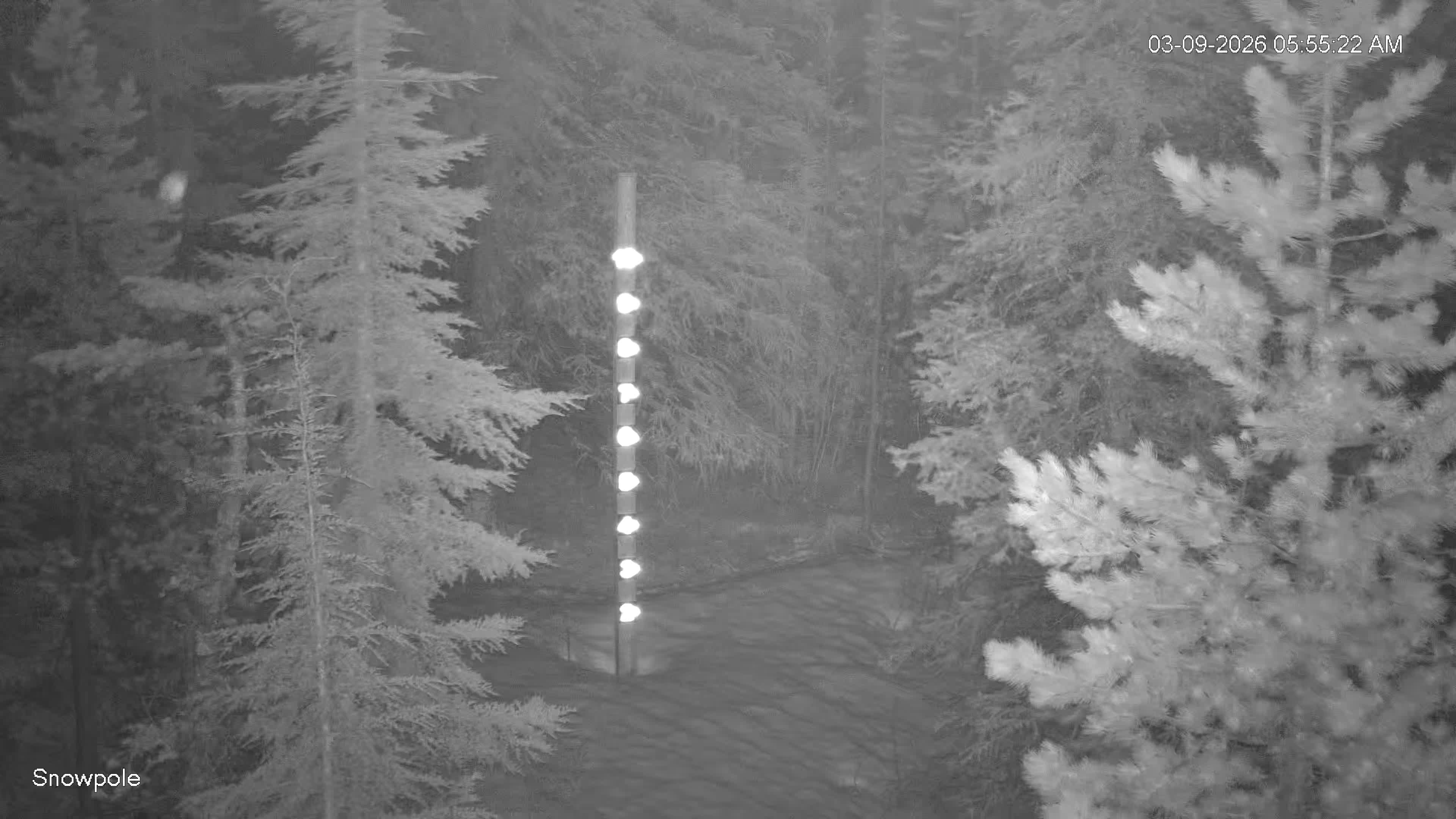 March 9, 2026 at 12:55:28 PM