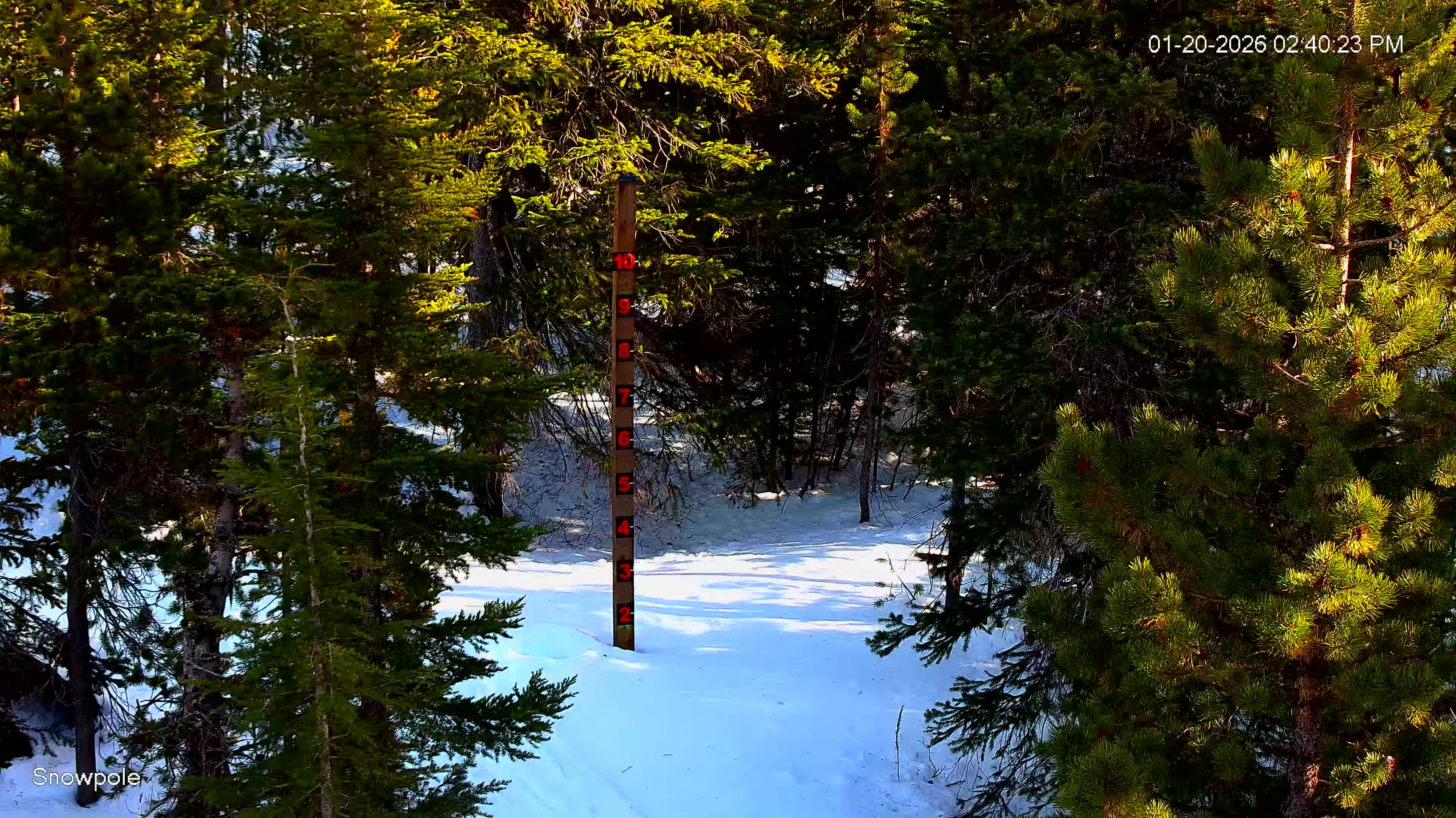 January 20, 2026 at 10:40:28 PM