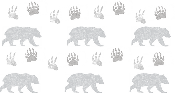 packground.png