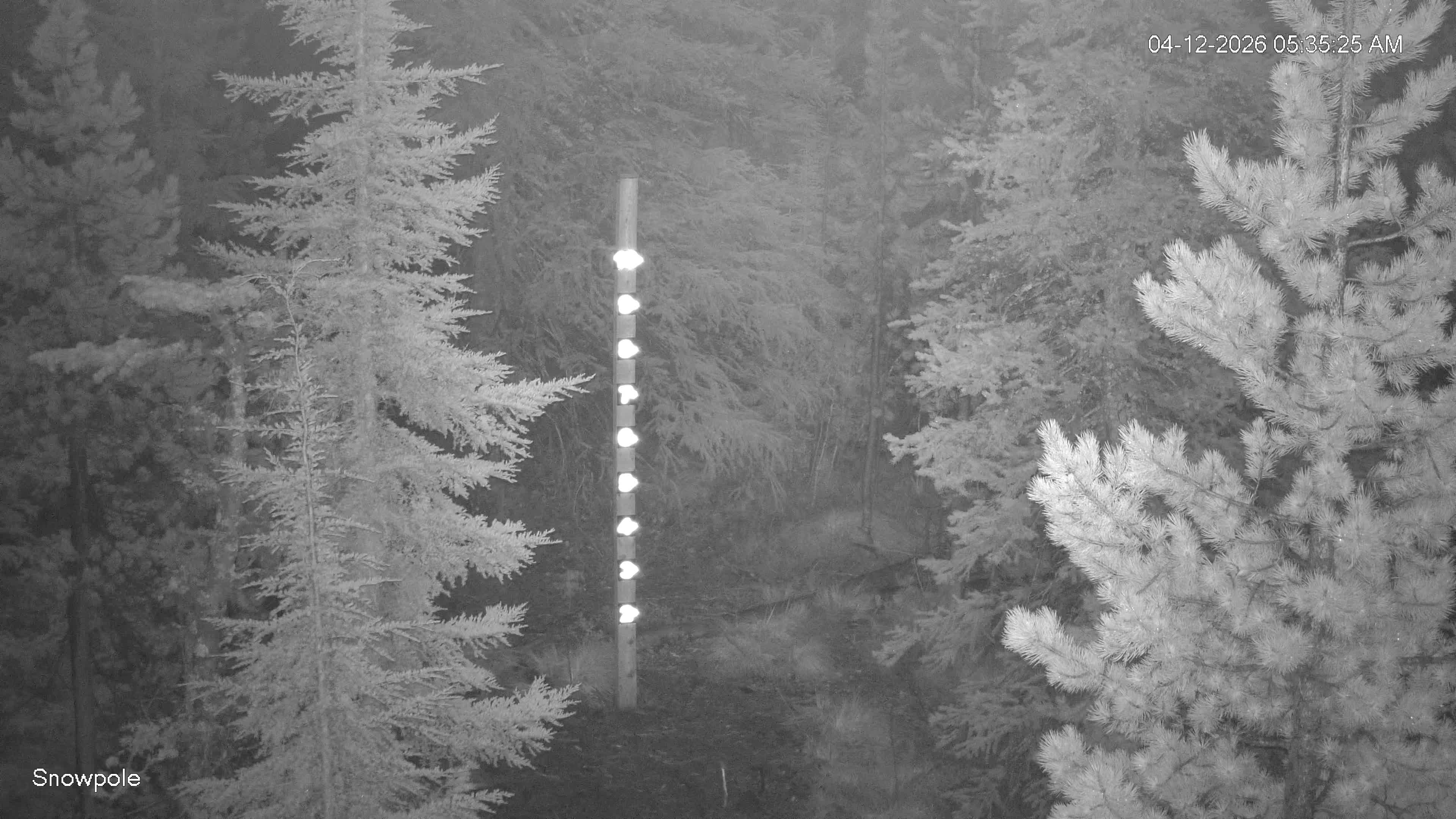 April 12, 2026 at 12:35:29 PM