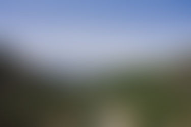 Notes From The Trail: Daily Dispatch - Stage 4 - The Queen Stage Reigns