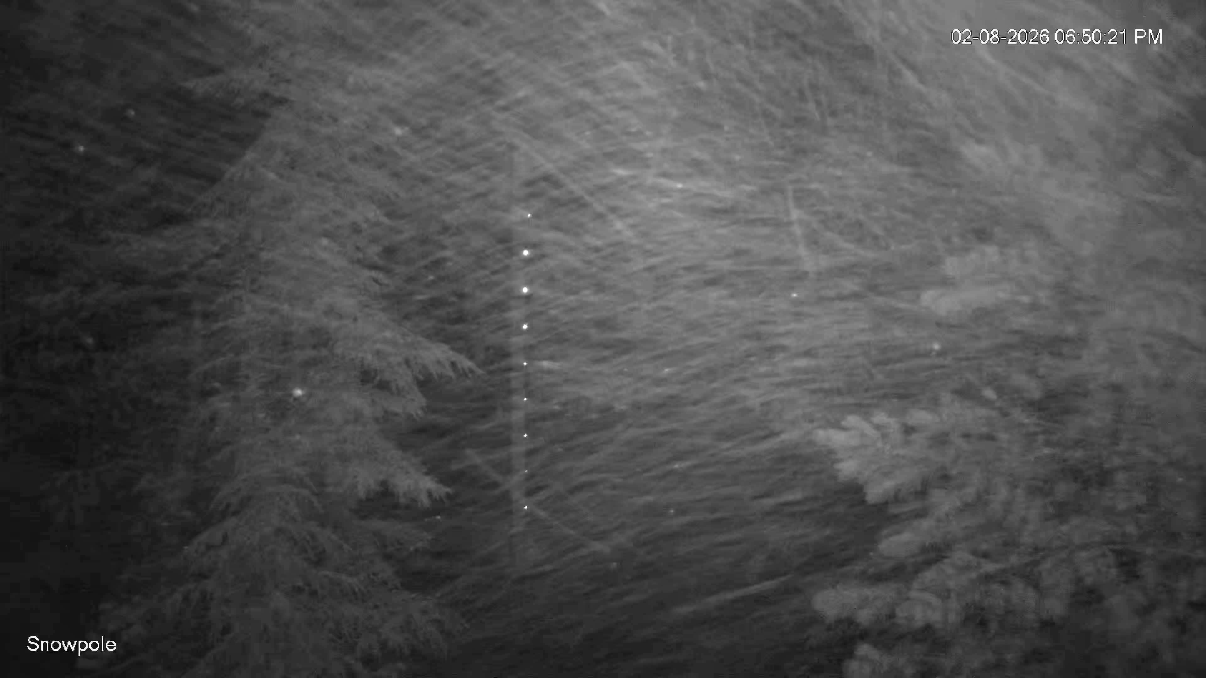 February 9, 2026 at 2:50:27 AM