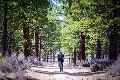 Cascade-Gravel-Grinder-2019-Adam-Lapierre-034.jpeg