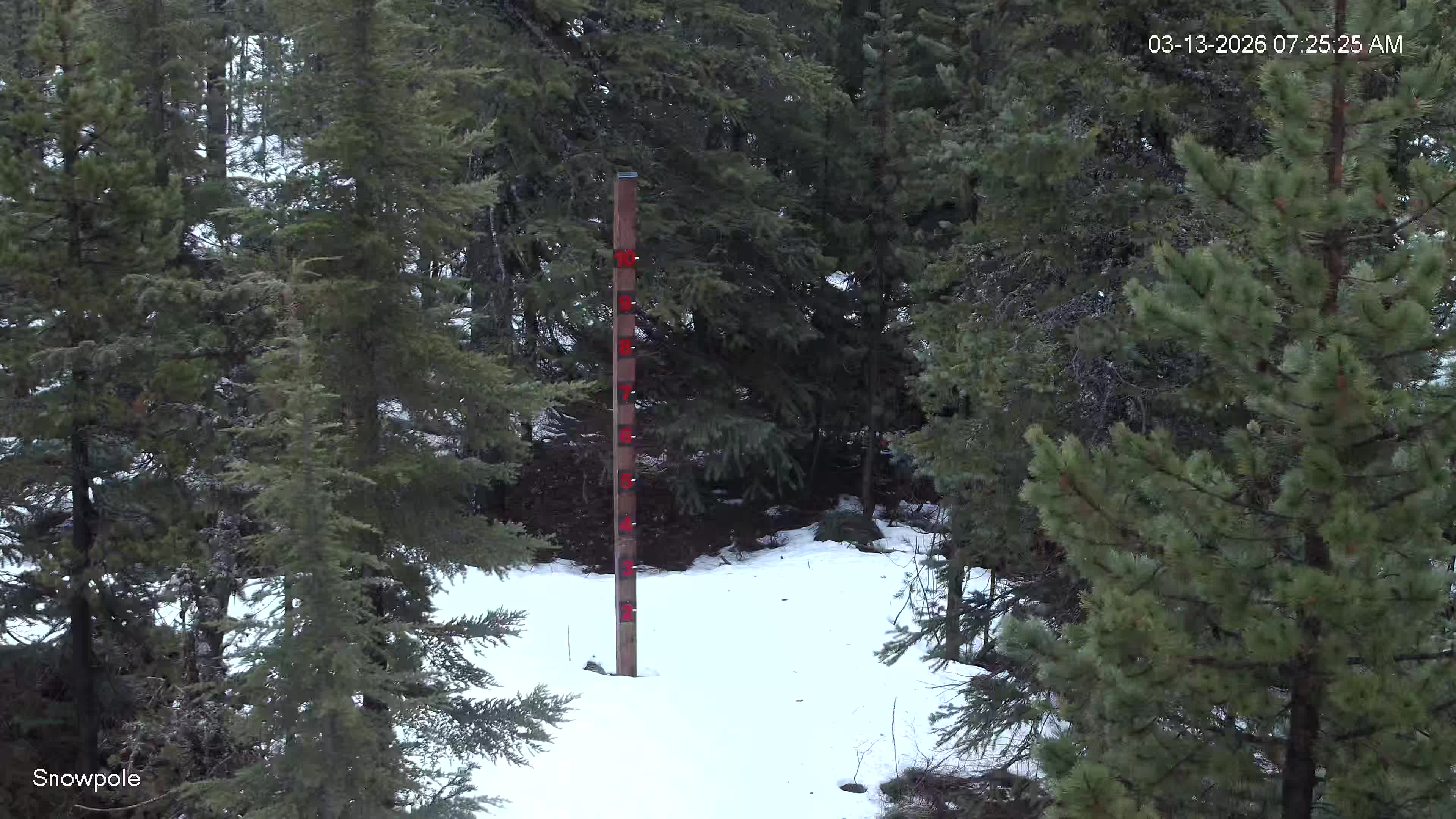 March 13, 2026 at 2:25:29 PM