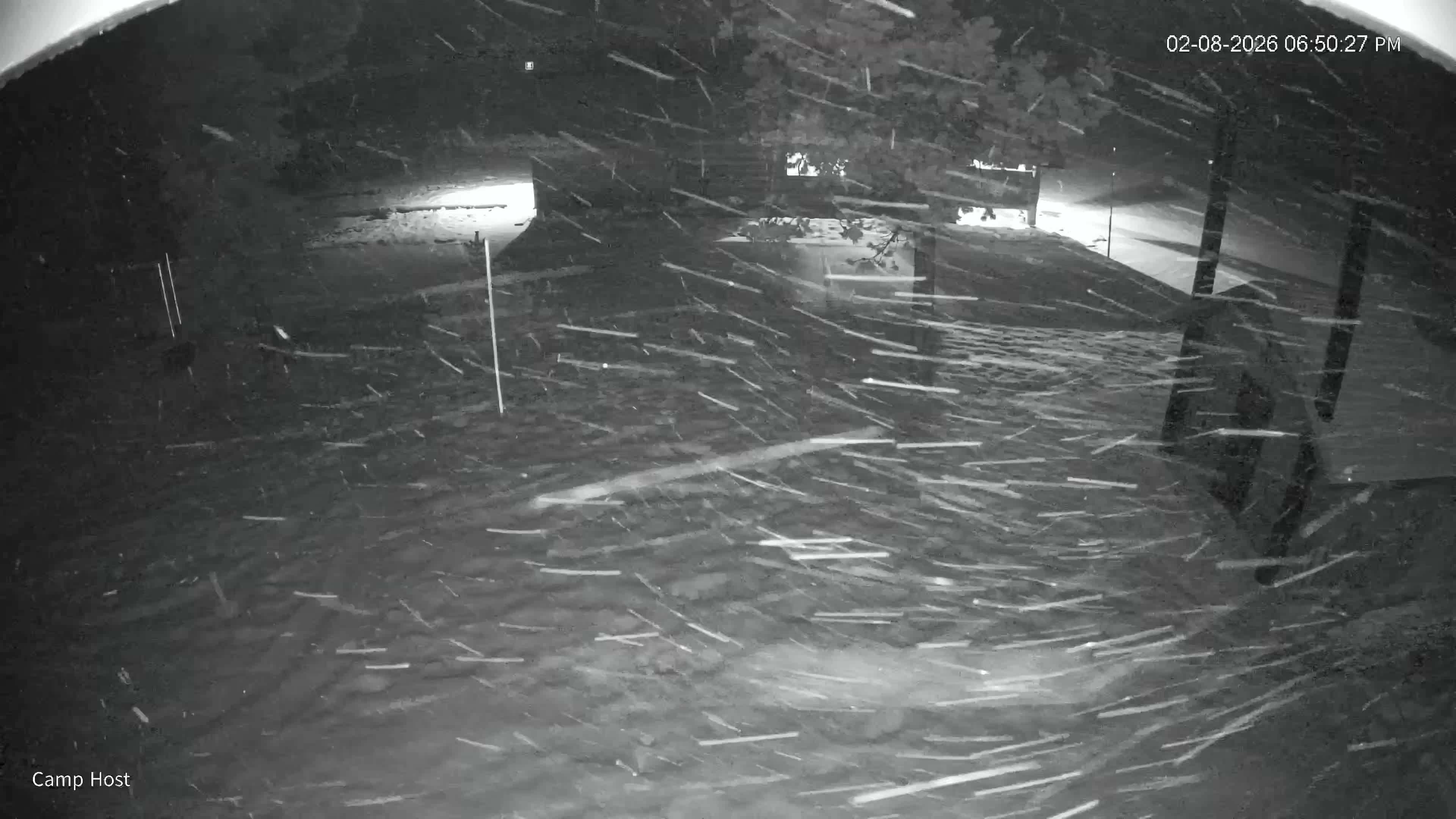 February 9, 2026 at 2:50:35 AM