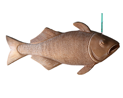 Fish polynucleotides.png