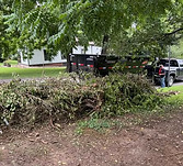 Brush debris yard 