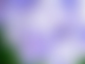 2019.06-08 ひと夏の過ごし方