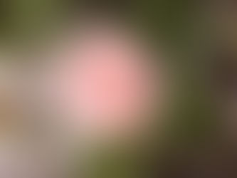 2026.02 息継ぎをする時間