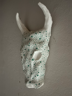 Nguni