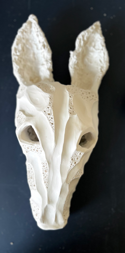 Wolfish