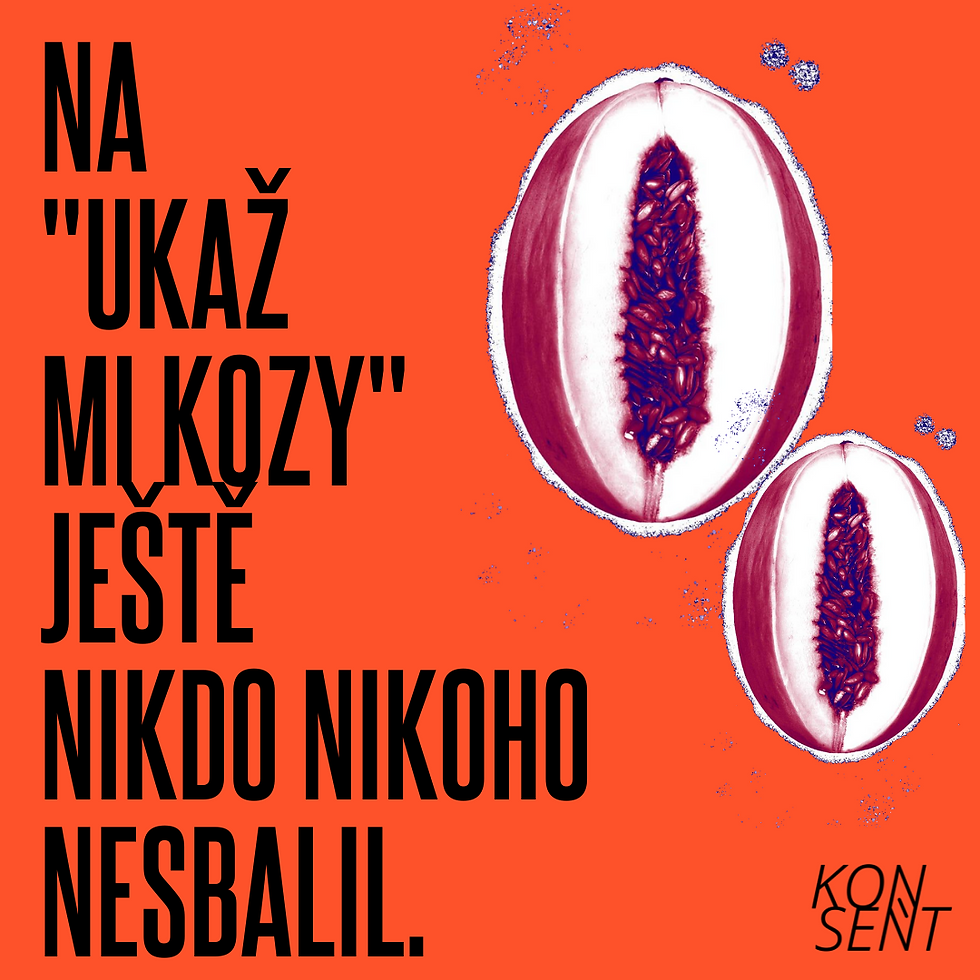 Workshop / Konsent: Proti obtěžování na veřejnosti