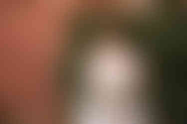 a bride in a wedding gown holding a bouquet og flowers in front of brick and a green bush at the Wilbur Hotel in Lititz Pennsylvania