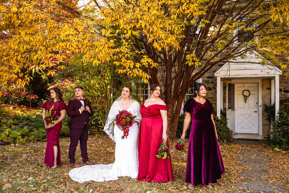 a bride and her bridesmaids in fall colors under a yellow tree at Tyler Arboretum in Media Pennsylvania